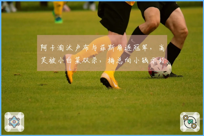 阿卡淘汰卢布与菲斯角逐冠军，高芙被小白菜双杀，梅总向小钱示好
