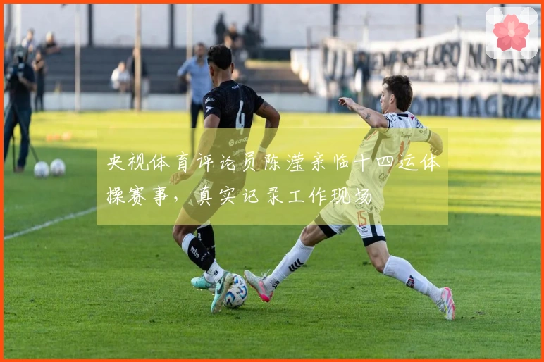 央视体育评论员陈滢亲临十四运体操赛事，真实记录工作现场